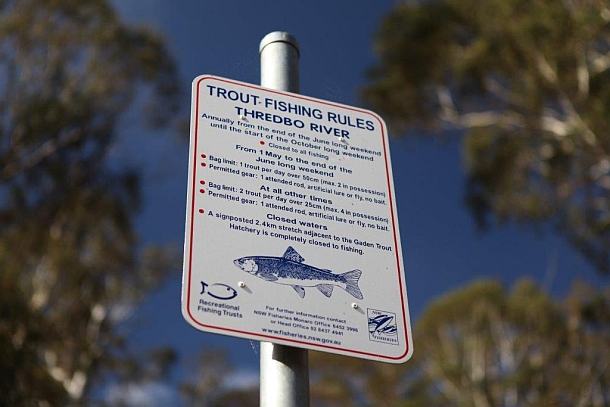 Spawning slaughter leads to early closure calls